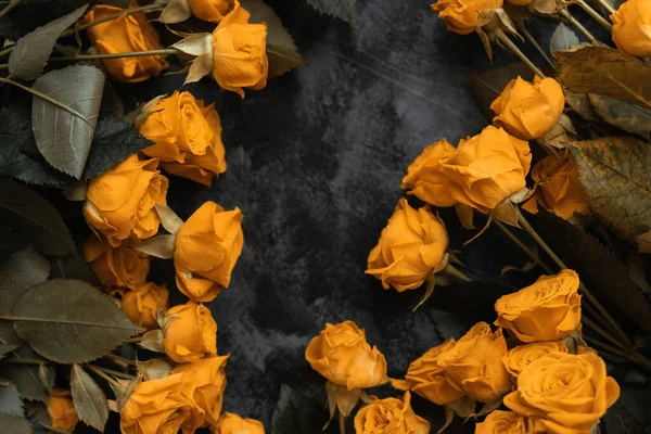 Siyah Arka Planda Sarı Güller — Stok fotoğraf