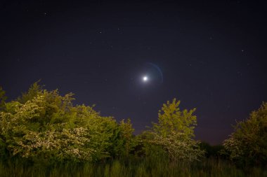 Yıldızlı gökyüzü ve ay yaz parkında