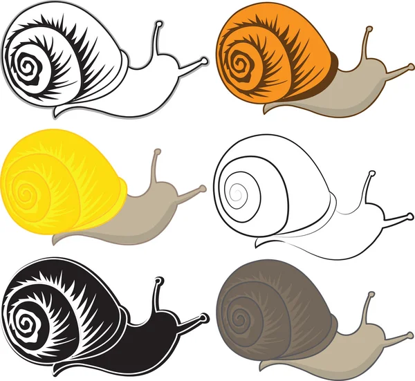 在不同的样式集的蜗牛 — 图库矢量图片