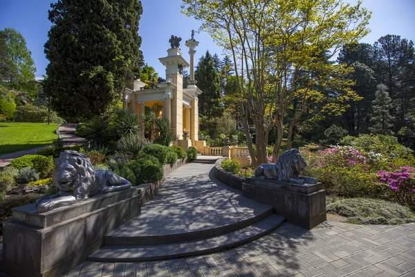 Botanical Garden, Sochi, Russia — Stock Photo, Image