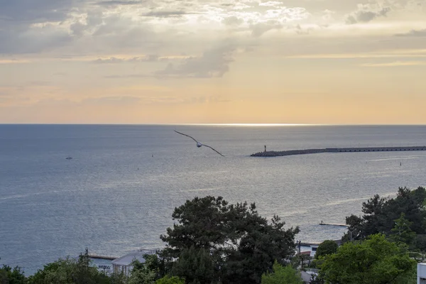 Utsikt över havet vid solnedgången — Stockfoto