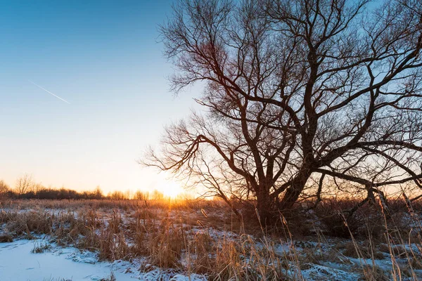 Vinterlandskap Med Frusen Flod — Stockfoto