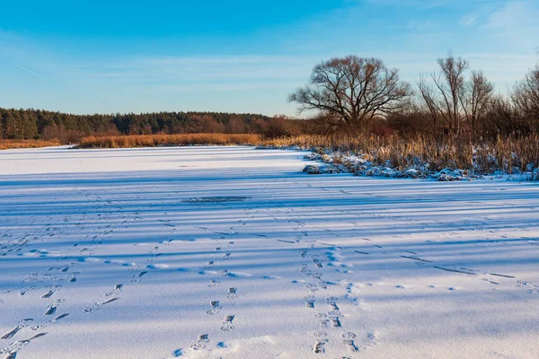 Paisaje Invierno Con Río Congelado —  Fotos de Stock