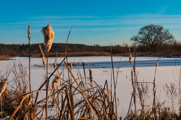 Paisaje Invierno Con Río Congelado —  Fotos de Stock