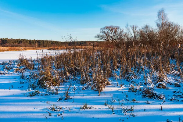Vinterlandskap Med Frusen Flod — Stockfoto