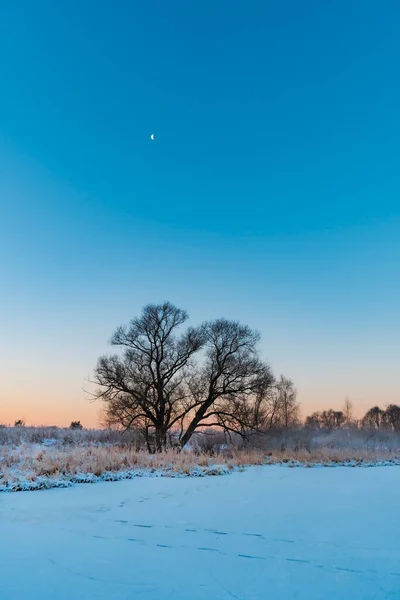 Paysage Hivernal Avec Rivière Gelée — Photo