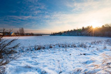 Parktaki kış ormanı