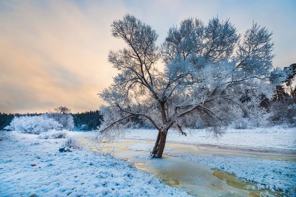 Vinterlandskap Med Frusen Flod — Stockfoto