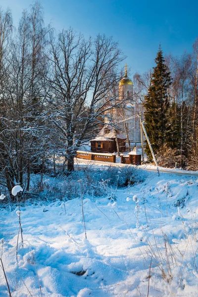 Winterbos Orthodoxe Kerk — Stockfoto