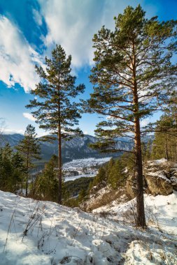 Rusya 'nın Altai Dağları manzaralı kış manzarası