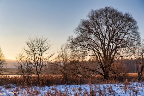 Vinterlandskap Ryssland — Stockfoto