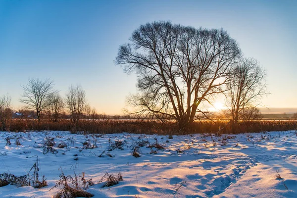 Zimowy Krajobraz Rosji — Zdjęcie stockowe