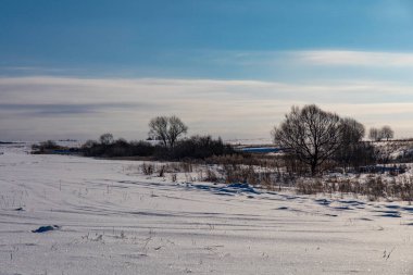 beautiful snow-covered fields with trees in the background