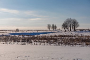 beautiful snow-covered fields with trees in the background
