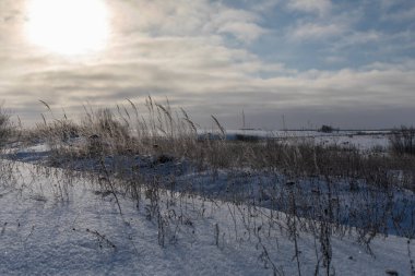 beautiful snow-covered fields with trees in the background