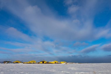 beautiful snow-covered fields with trees in the background