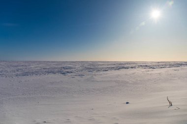 beautiful snow-covered fields with trees in the background