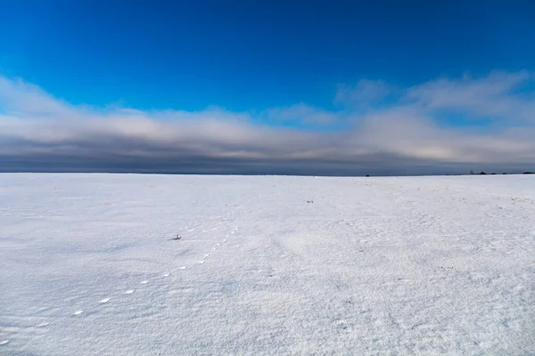 Beautiful Snow Covered Fields Trees Background — 图库照片