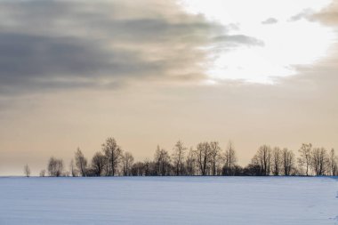 beautiful snow-covered fields with trees in the background