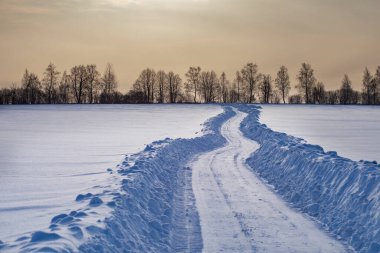 road in a snowy field