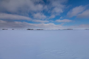 beautiful snow-covered fields with trees in the background