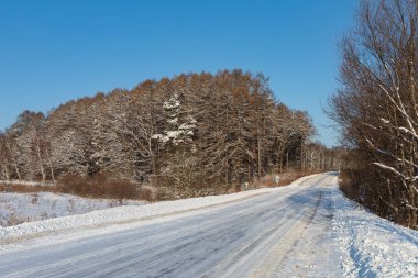 road in a snowy field