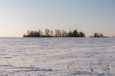 beautiful snow-covered fields with trees in the background