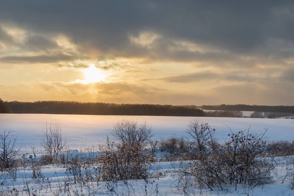 Beautiful Snow Covered Fields Trees Background — Zdjęcie stockowe