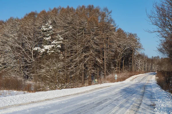 Road Snowy Field — Stockfoto