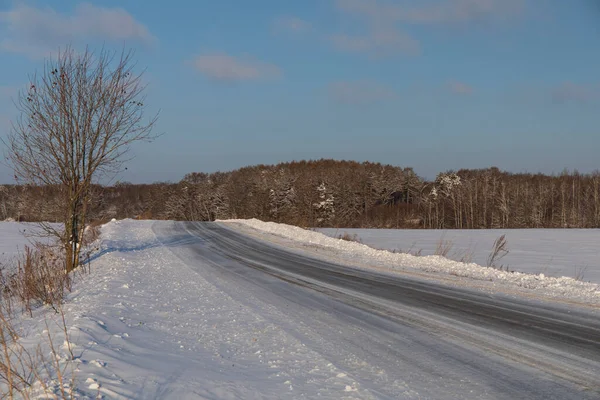 Road Snowy Field — Photo