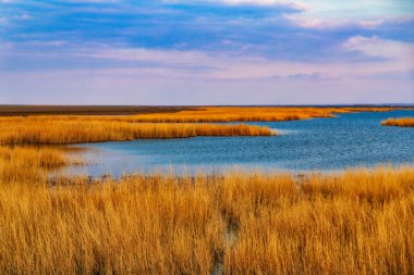 bozkır görünümünü