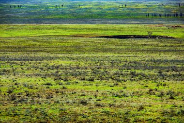 bozkır görünümünü