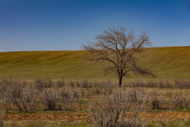 bozkır görünümünü