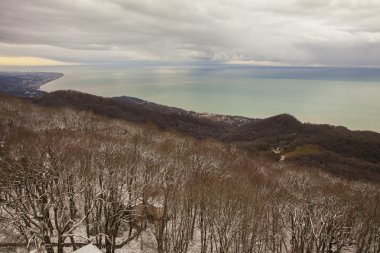 Seaside Sochi, Rusya Federasyonu