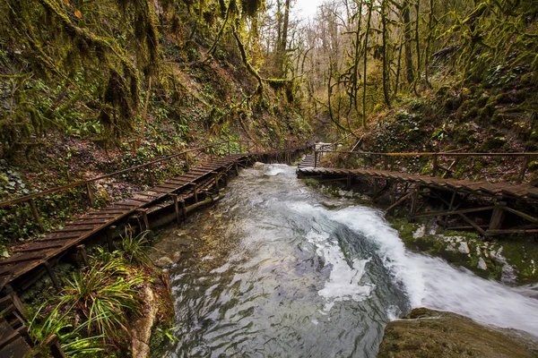 Şelale, Sochi — Stok fotoğraf