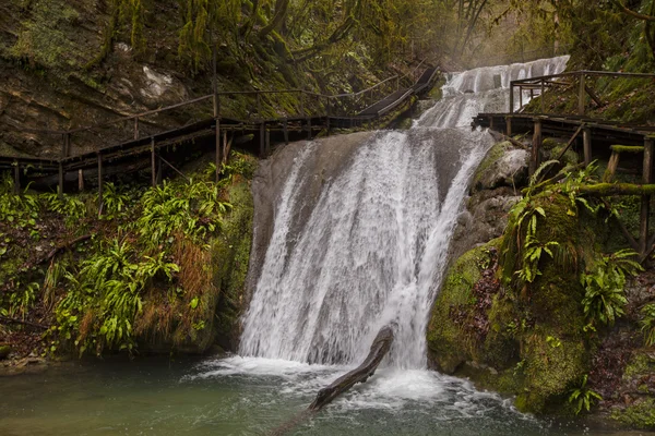 Wasserfall, Sotschi — Stockfoto