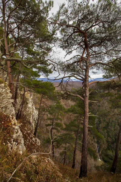 Vista de las montañas, Sochi —  Fotos de Stock