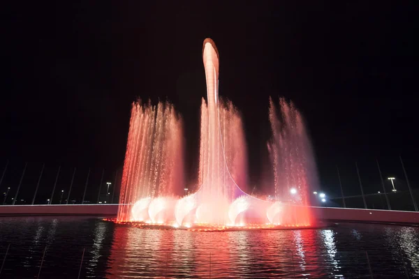 Gekleurde fontein Sotsji — Stockfoto