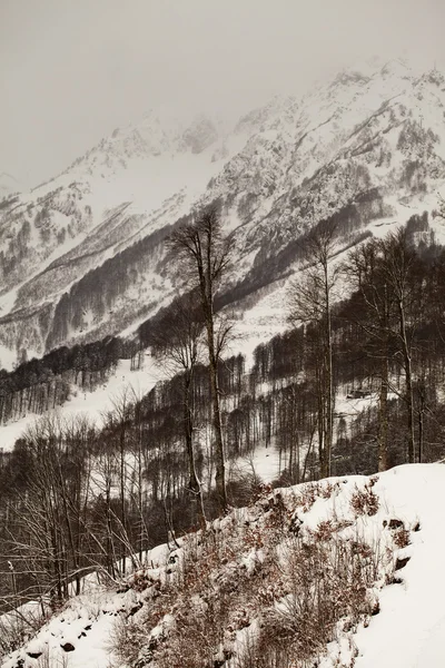 山，索契的看法 — 图库照片