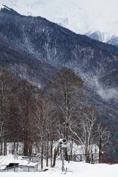Blick auf die Berge, Sotschi — Stockfoto