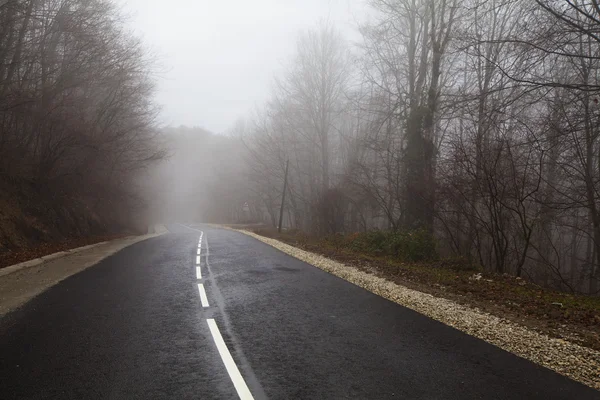 Fog on the road — Stock Photo, Image