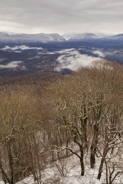 Вид на горы, Сочи — стоковое фото