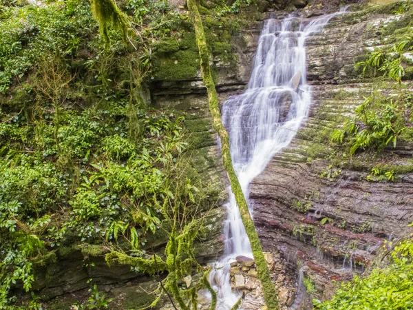 Wasserfall, Sotschi — Stockfoto