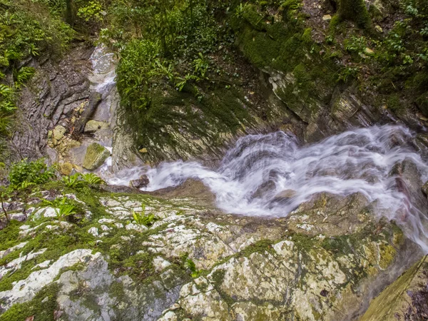 Waterfall, Sochi — Stock Photo, Image