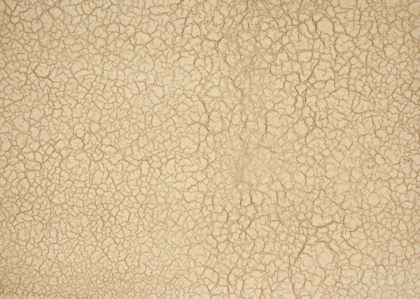 Textura Pedra Deserto Rachado Branco Fundo Adequado Para Design Gráficos — Fotografia de Stock