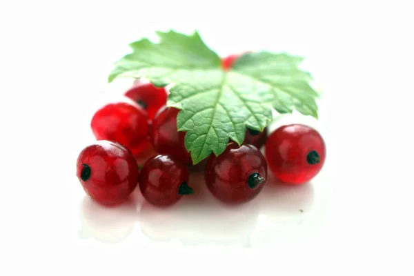 新鲜的红色浆果 叶背绿色 底色白色 健康食品 — 图库照片