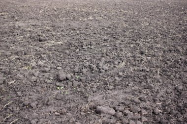 Tarıma elverişli tarım endüstrisi. Çiftlik arazisi, yeni sürülmüş ve hasat ve tarım için hazırlanmış.
