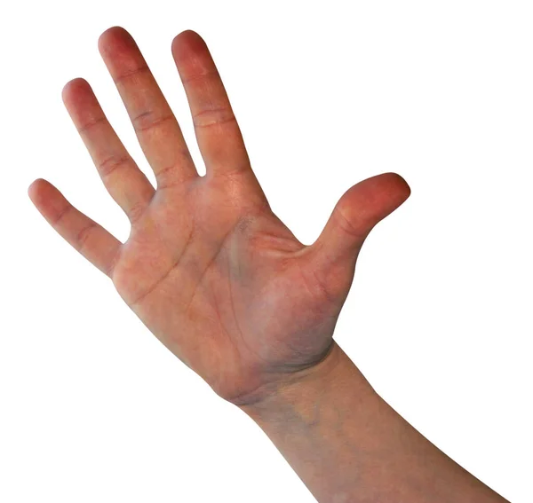 Χέρι Παλάμη Επάνω Απομονωμένη Λευκό Φόντο Βάλτε Θέμα — Φωτογραφία Αρχείου