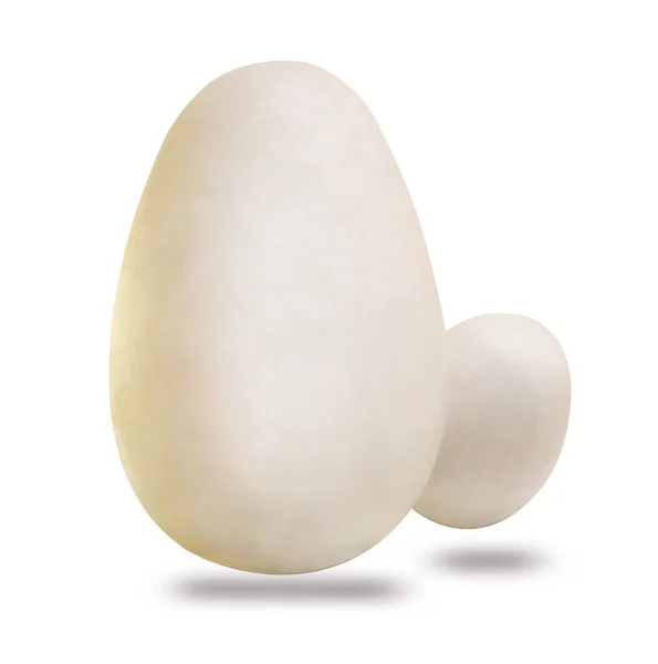 两只蛋 大的和小的 在白色背景上隔离 空白用于设计项目 — 图库照片
