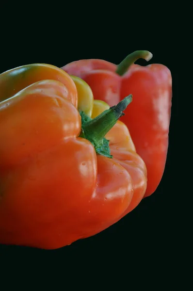 Bright red peppers, yellow-red isolated on a black background. Bulgarian pepper. Paprika.